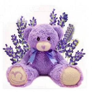 lavender rose teddy bear