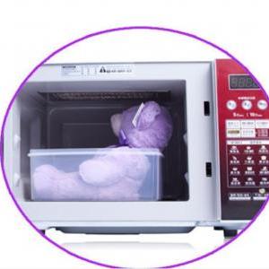 lavender bear microwave