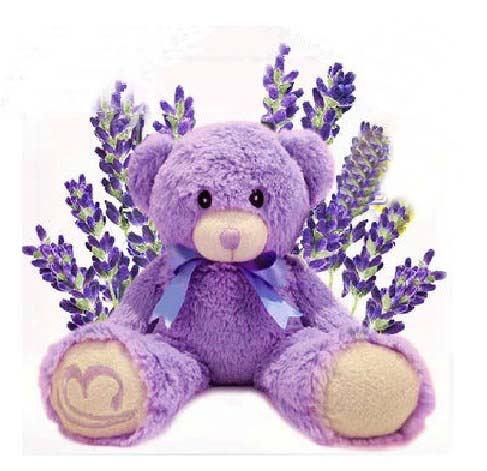 lavender rose teddy bear